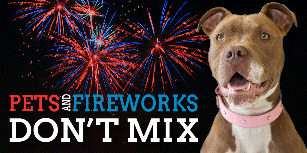 Fireworks and Dog Safety StayNPlay Pet Ranch