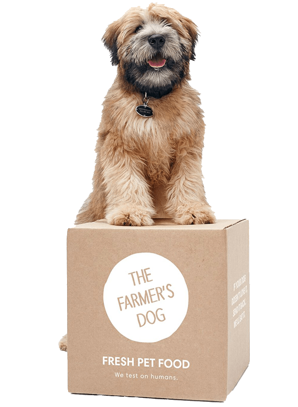 Rethinking Pet Food Real Food made fresh delivered Stay N Play Pet Ranch